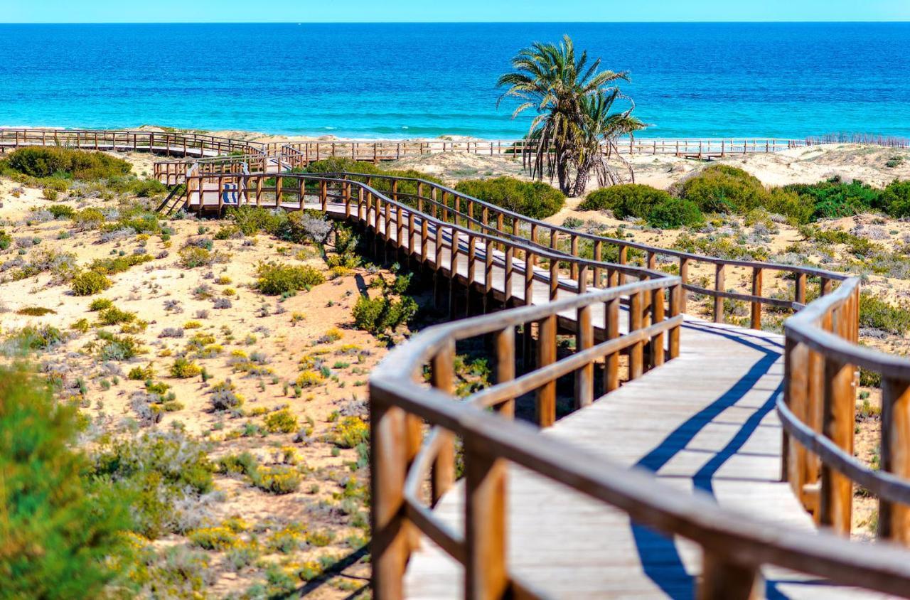 Stunning Sea Views At Just 270 M From The Beach 阿勒纳勒斯德尔索尔 外观 照片